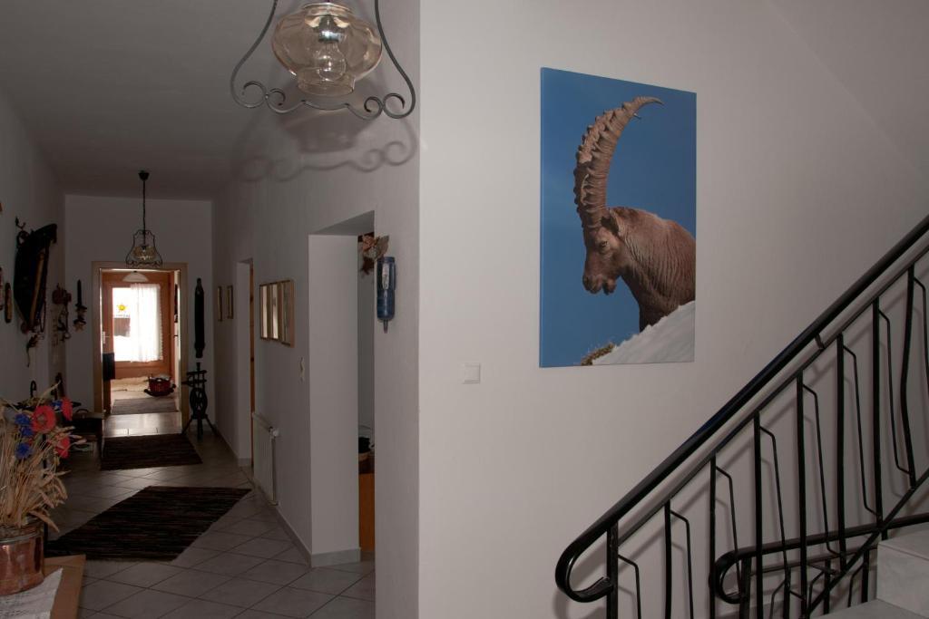 Appartements Schmalzerhof Gries im Sellrain Zewnętrze zdjęcie